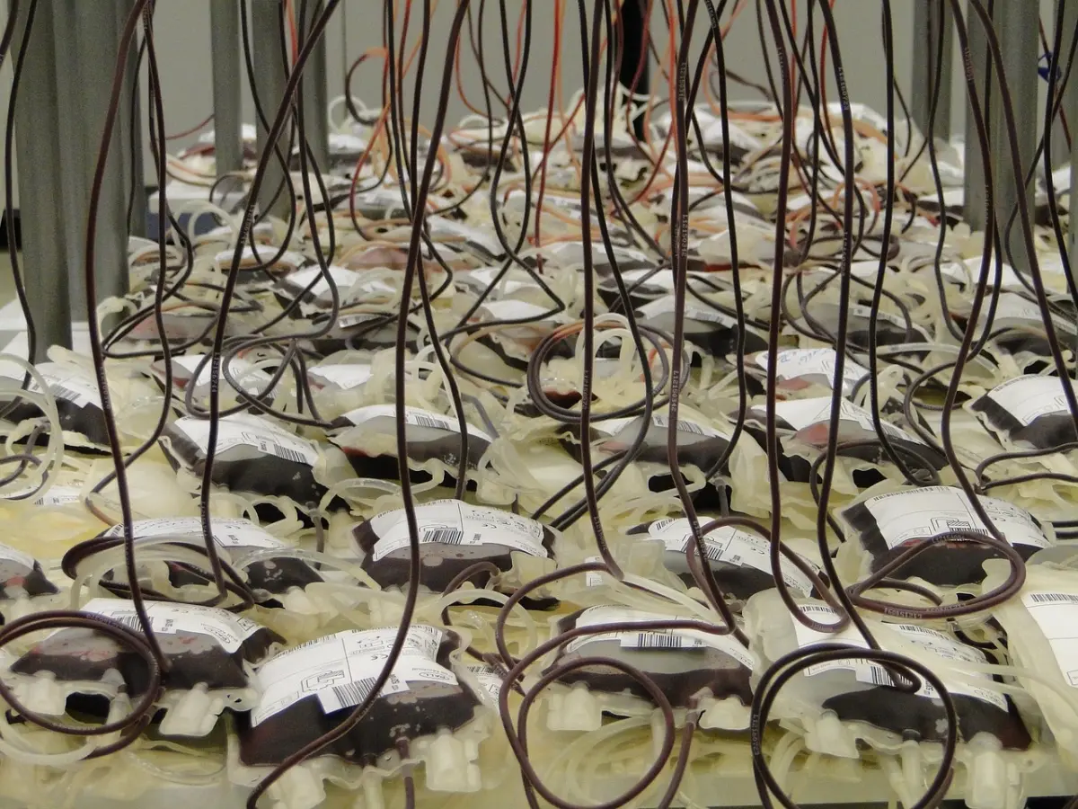 blood bags, red, red blood cells, blood donors, blood bags, blood bags, blood bags, blood bags, blood bags, blood donors